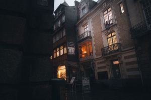 Traitement punaises de lit Rennes